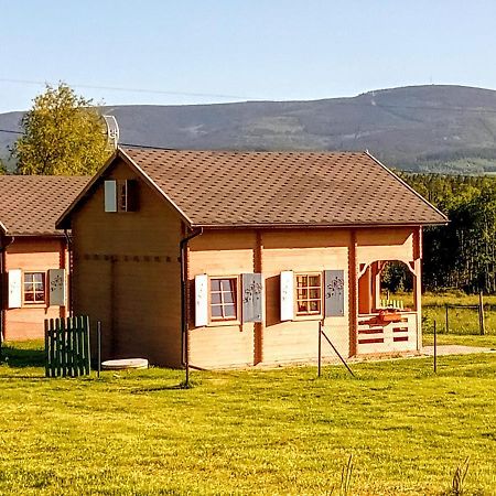 Brzozami Malowane Giebultow  Dış mekan fotoğraf